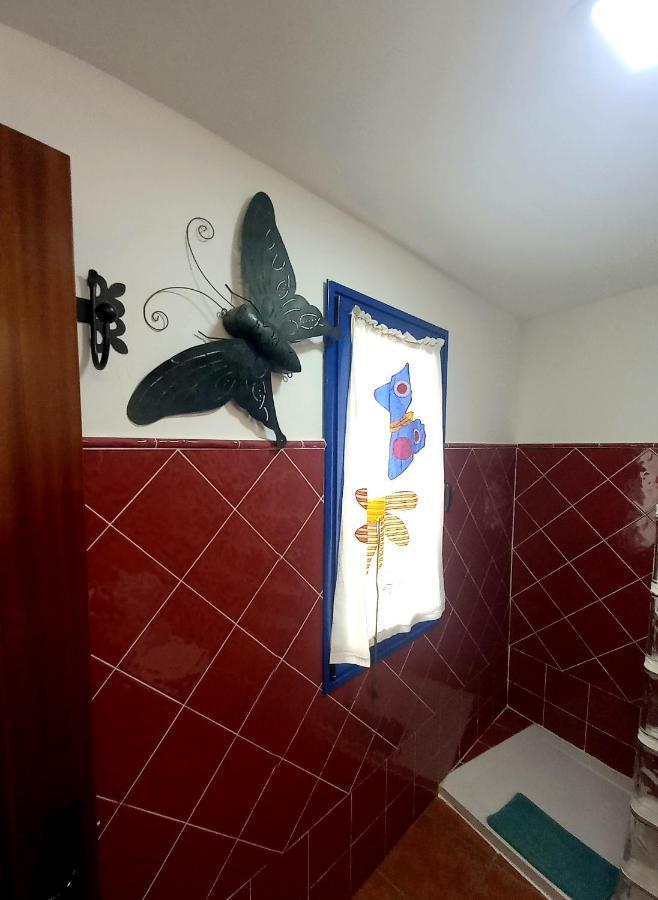 Casa Pescado Y Mariposas Apartment Arrecife (Lanzarote)